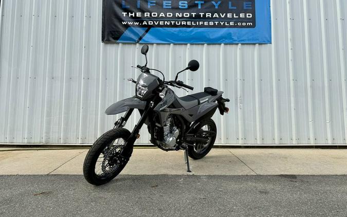 2025 Kawasaki KLX300SM