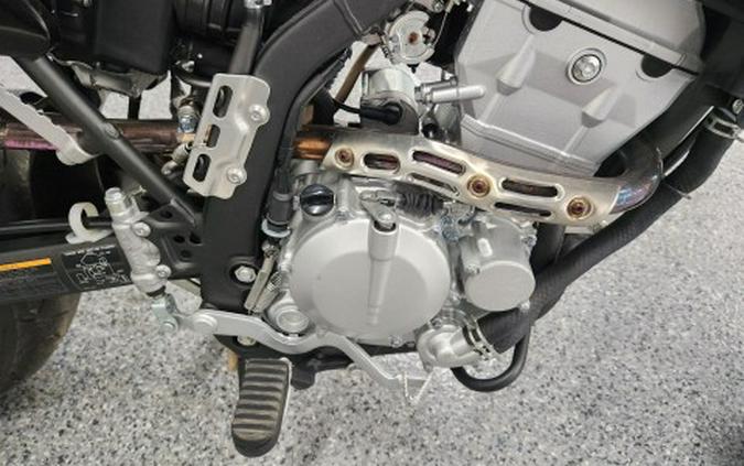 2023 Kawasaki KLX300SM