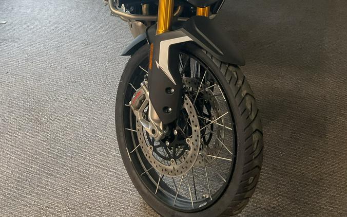 2025 Triumph Tiger 900 Rally Pro