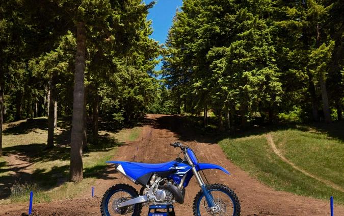 2025 Yamaha YZ250