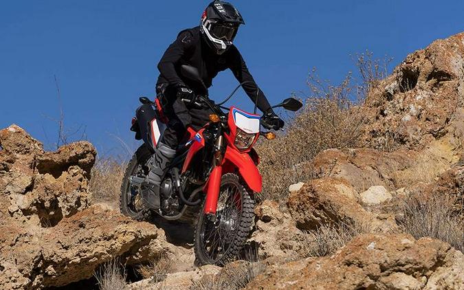 2024 Honda CRF 300L Rally