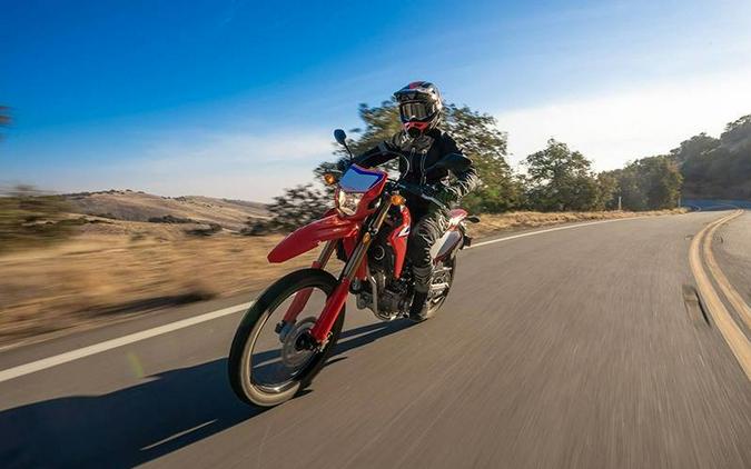 2024 Honda CRF 300L Rally