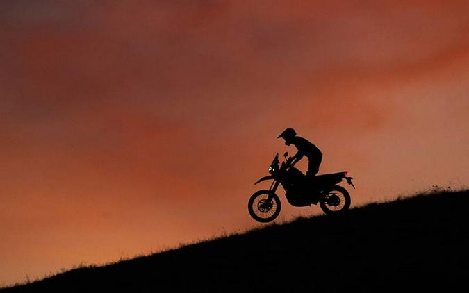 2024 Honda CRF 300L Rally