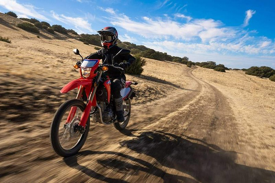 2024 Honda CRF 300L Rally