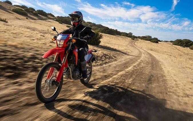 2024 Honda CRF 300L Rally