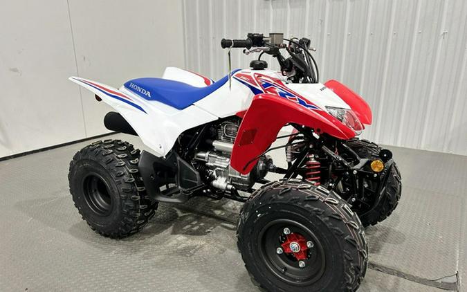 2026 Honda TRX 250X