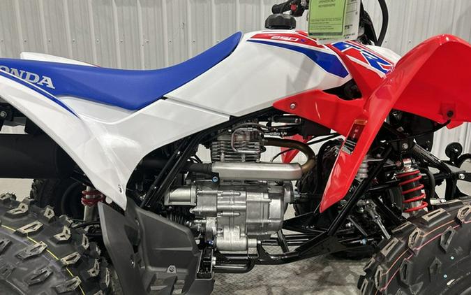2026 Honda TRX 250X