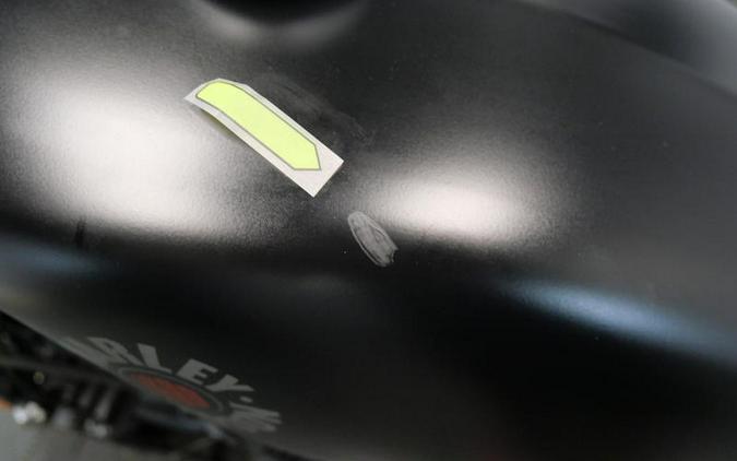 2021 Harley-Davidson® XL883N - Iron 883™