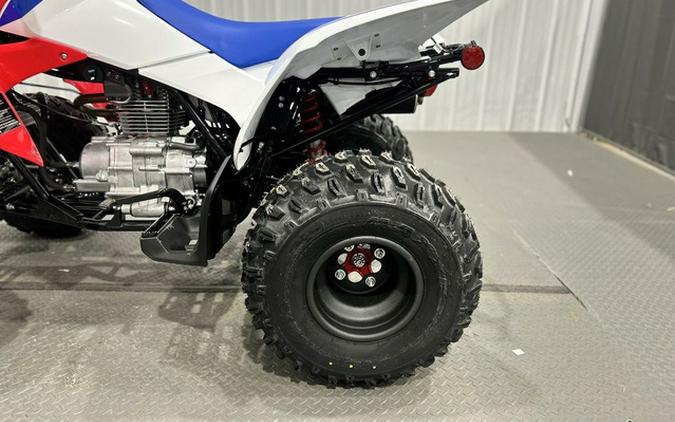 2026 Honda TRX 250X