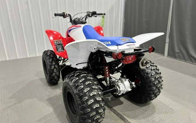 2026 Honda TRX 250X