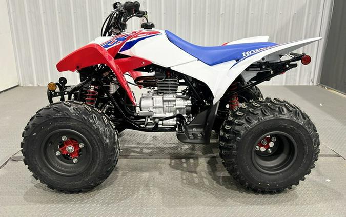 2026 Honda TRX 250X