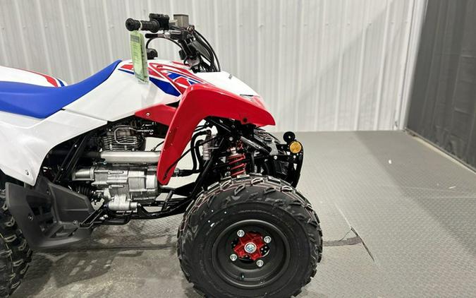 2026 Honda TRX 250X
