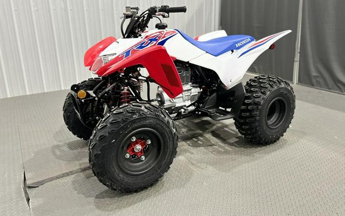2026 Honda TRX 250X
