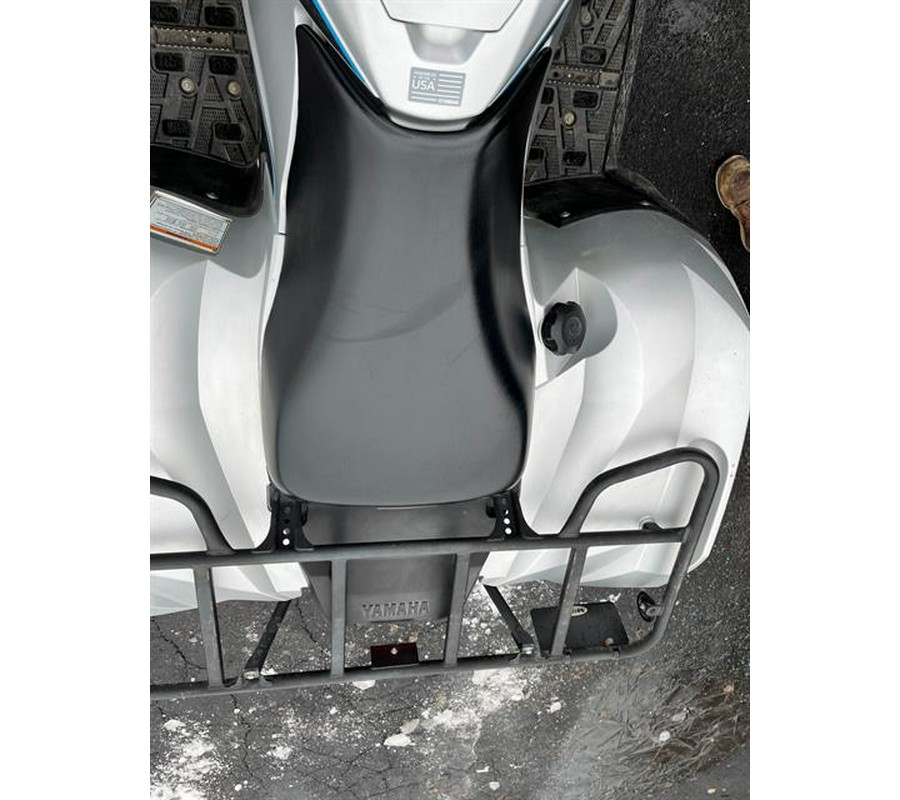 2020 Yamaha Grizzly EPS SE