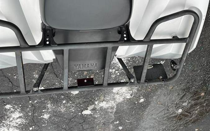 2020 Yamaha Grizzly EPS SE