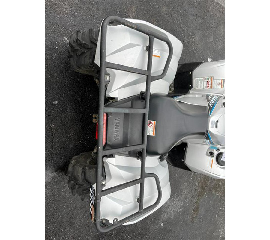 2020 Yamaha Grizzly EPS SE