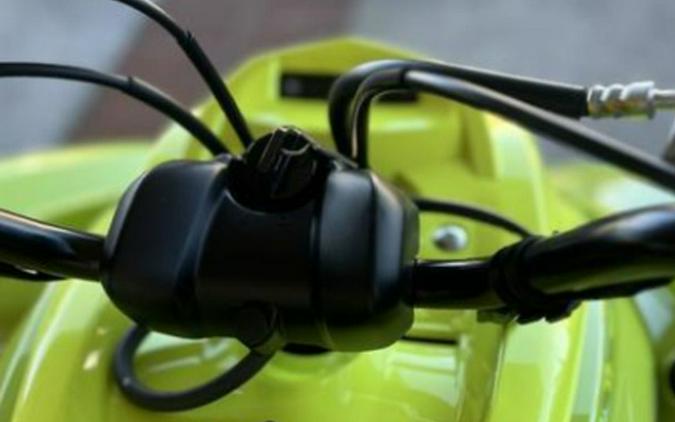 2026 Yamaha Raptor 700R SE