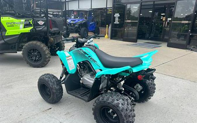 2024 Yamaha Raptor 110