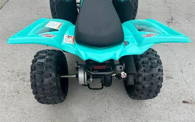 2024 Yamaha Raptor 110