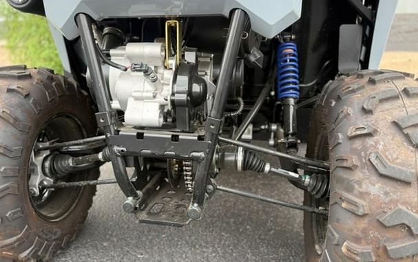 2026 Polaris RZR 200 EFI