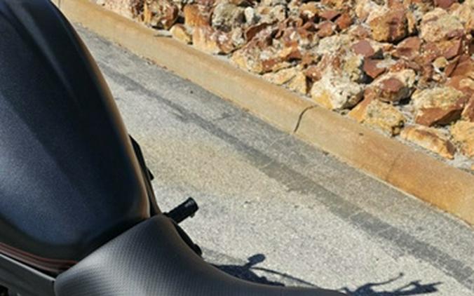 2025 Kawasaki Vulcan S ABS