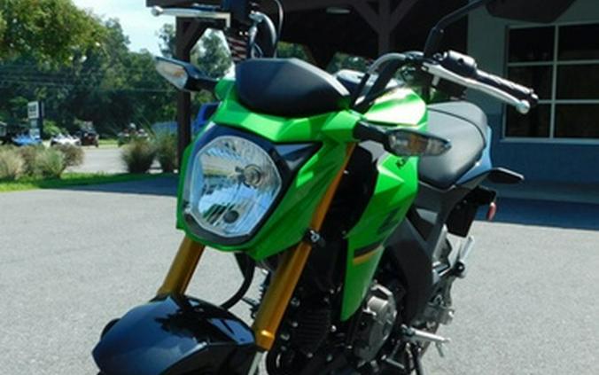 2024 Kawasaki Z125 PRO