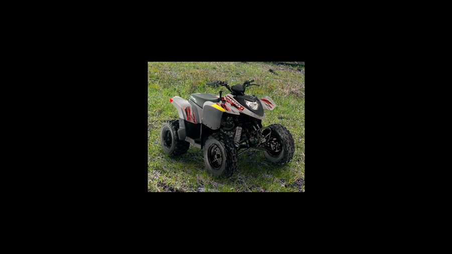 2022 Polaris Industries Phoenix 200 Avalanche Gray