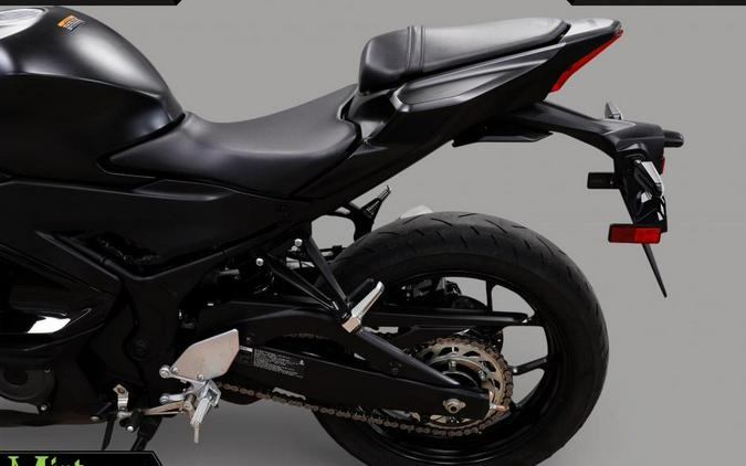 2025 Yamaha YZF-R3
