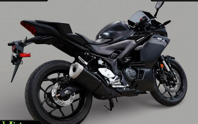 2025 Yamaha YZF-R3