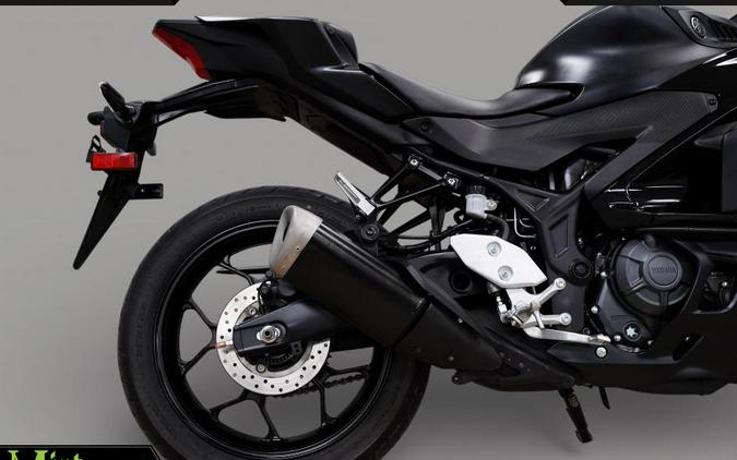 2025 Yamaha YZF-R3