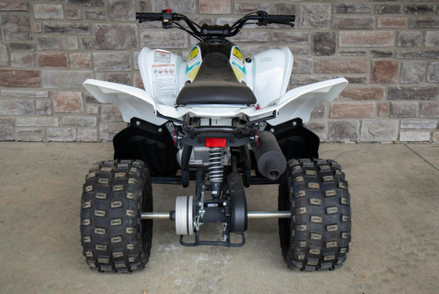 2023 Yamaha Raptor 90