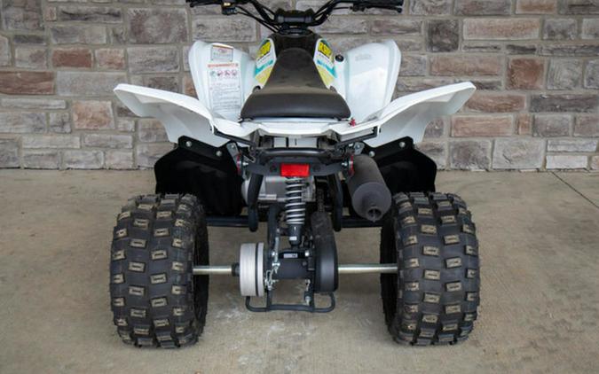 2023 Yamaha Raptor 90