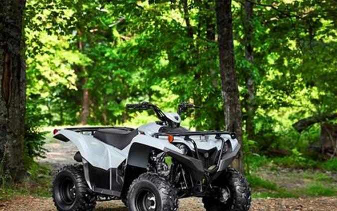 2023 Yamaha Grizzly 90