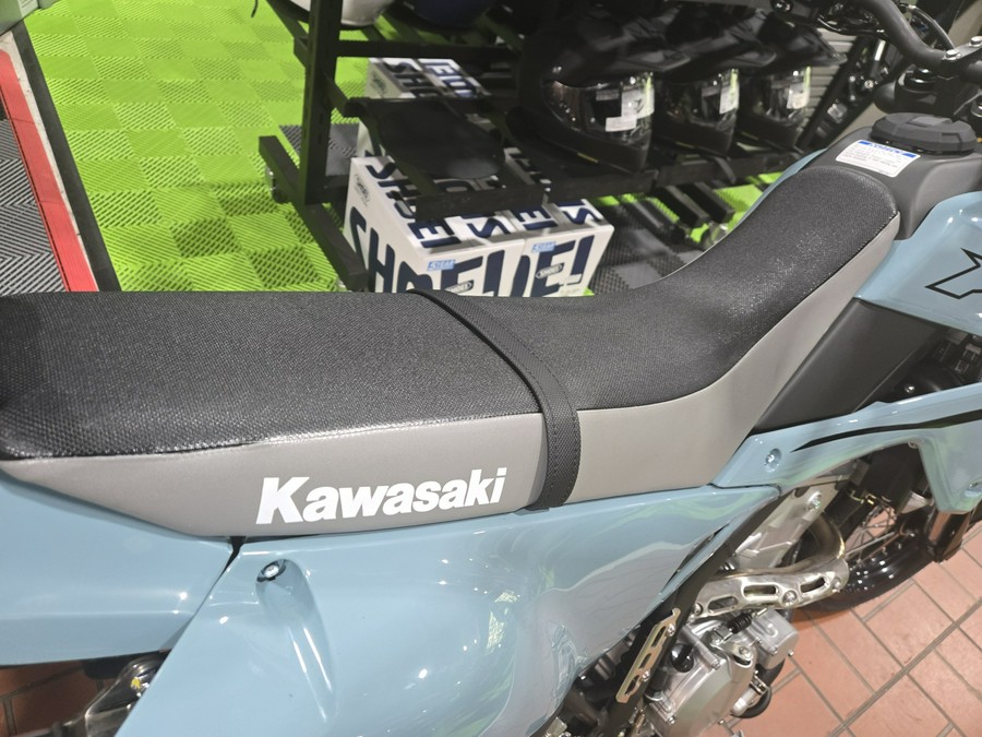 2025 Kawasaki KLX 300SM