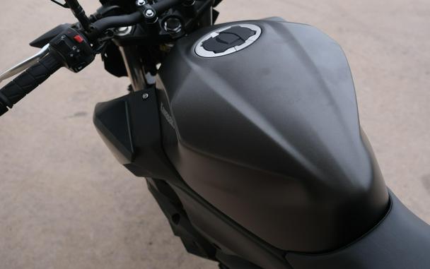 2026 KAWASAKI Z650 S ABS