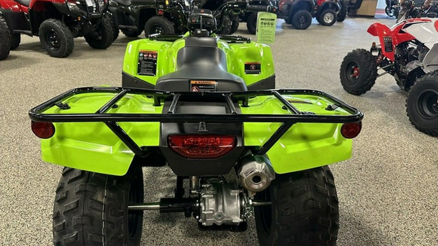 2024 Honda TRX250TEP