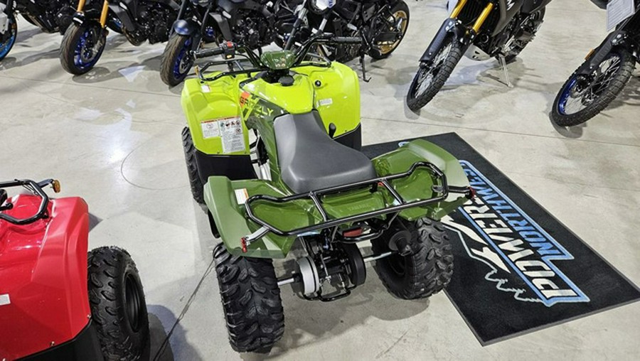 2026 Yamaha Grizzly 110