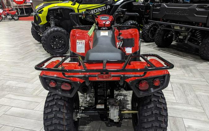 2024 Kawasaki Brute Force 300