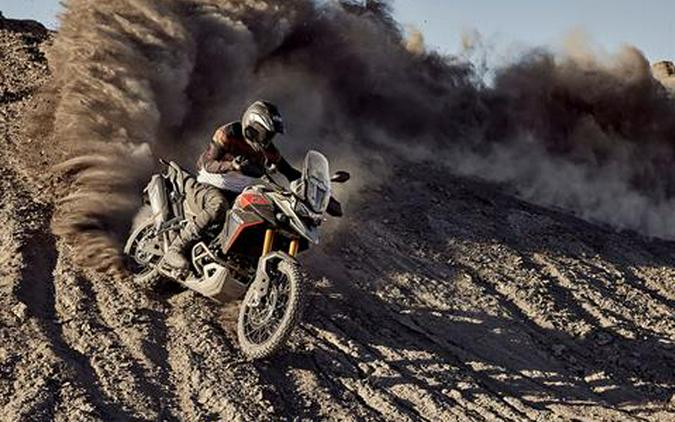 2024 Triumph Tiger 900 Rally Pro