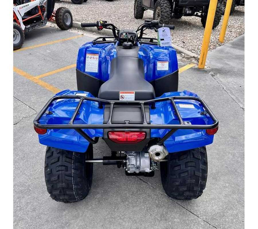 2023 Honda® Fourtrax Recon