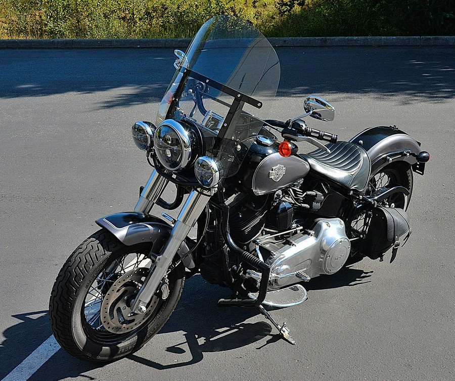 2015 SOFTAIL SLIM OWNERS MANUAL visual data 5