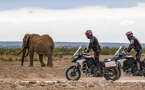 2025 Ducati Multistrada V4 Rally