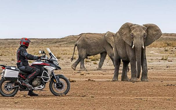 2025 Ducati Multistrada V4 Rally