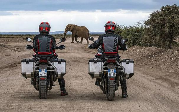 2025 Ducati Multistrada V4 Rally