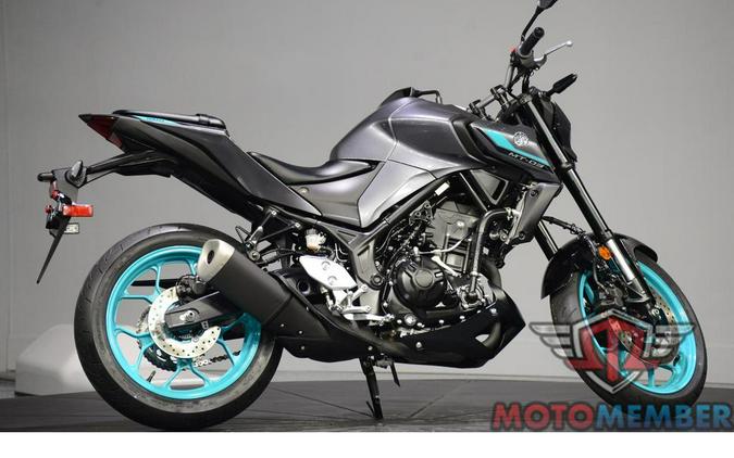 2024 Yamaha MT-03