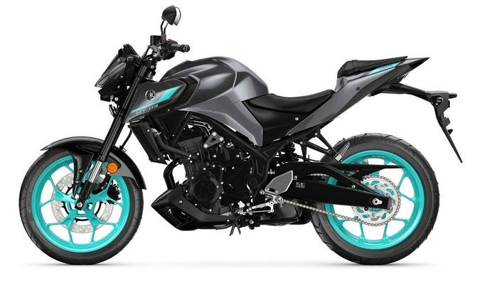 2024 Yamaha MT-03