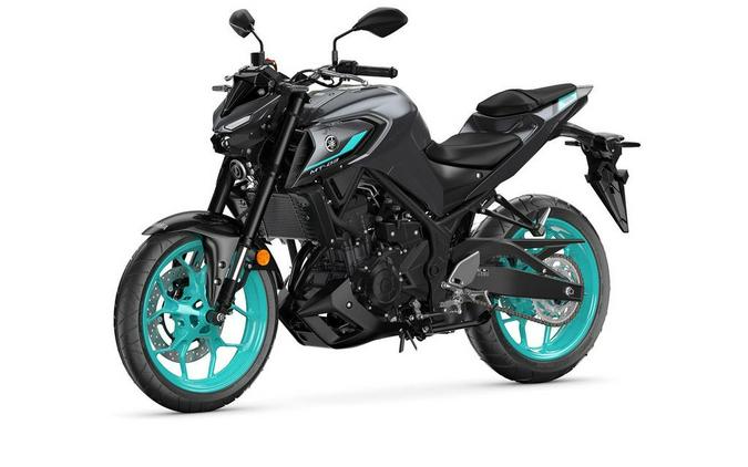 2024 Yamaha MT-03