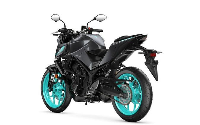 2024 Yamaha MT-03