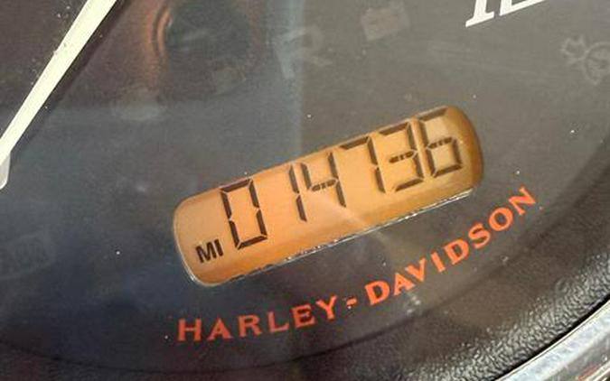 2019 Harley-Davidson Freewheeler®