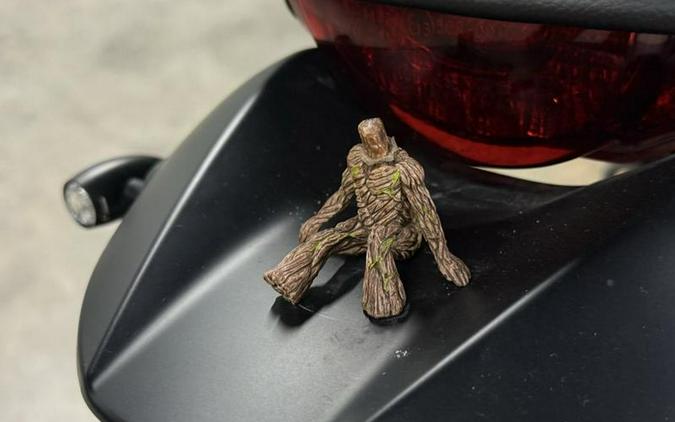 2020 Ducati Scrambler 800 Dark